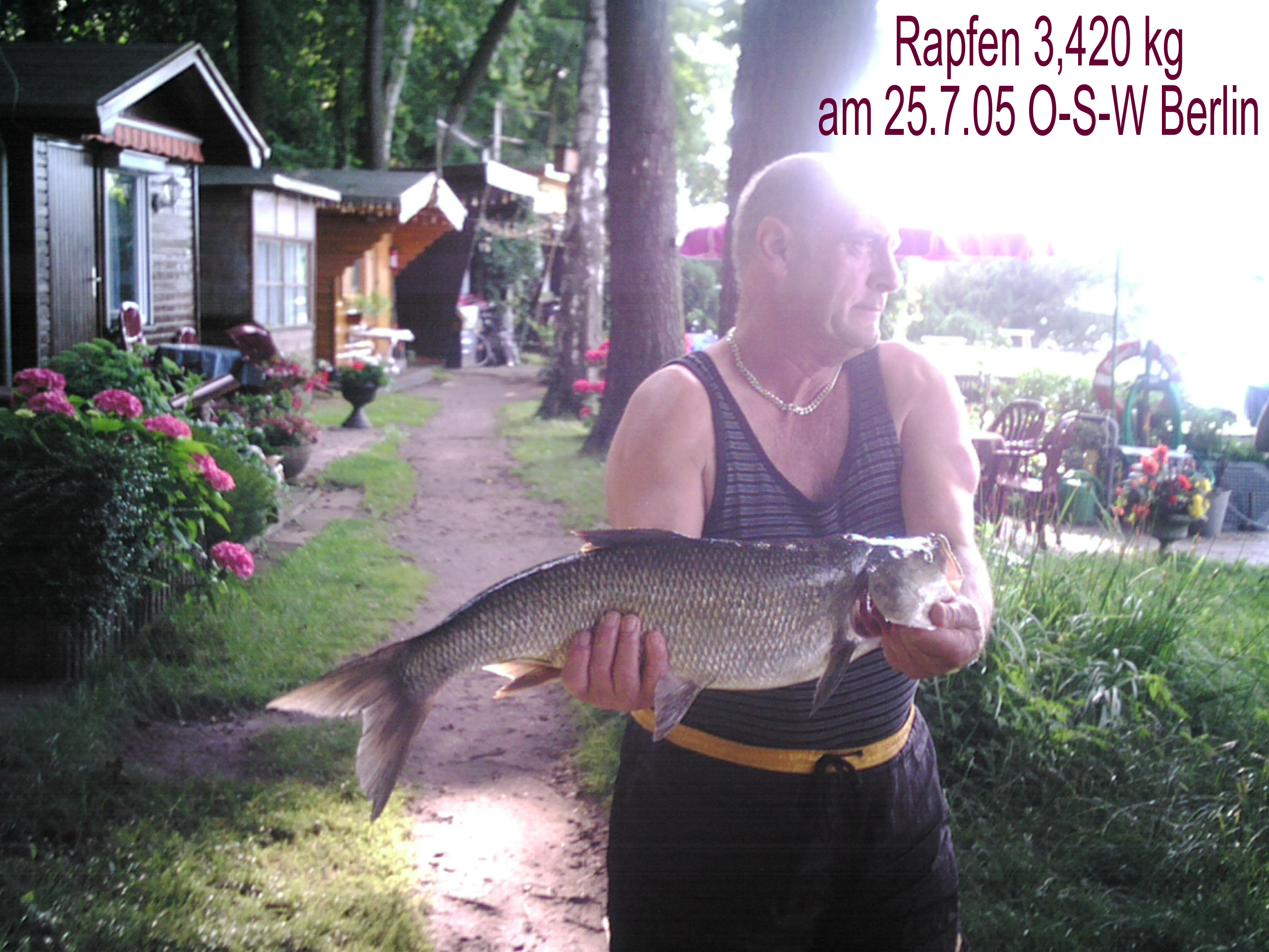 Rapfen